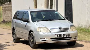 Toyota Corolla Fielder 2003 Silver