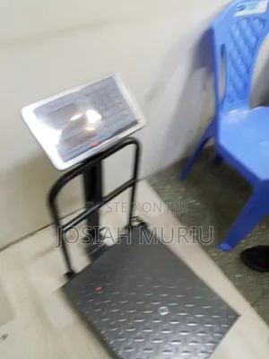 300KG Industrial Digital Weight Scale