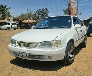 Toyota Corolla 1999 White