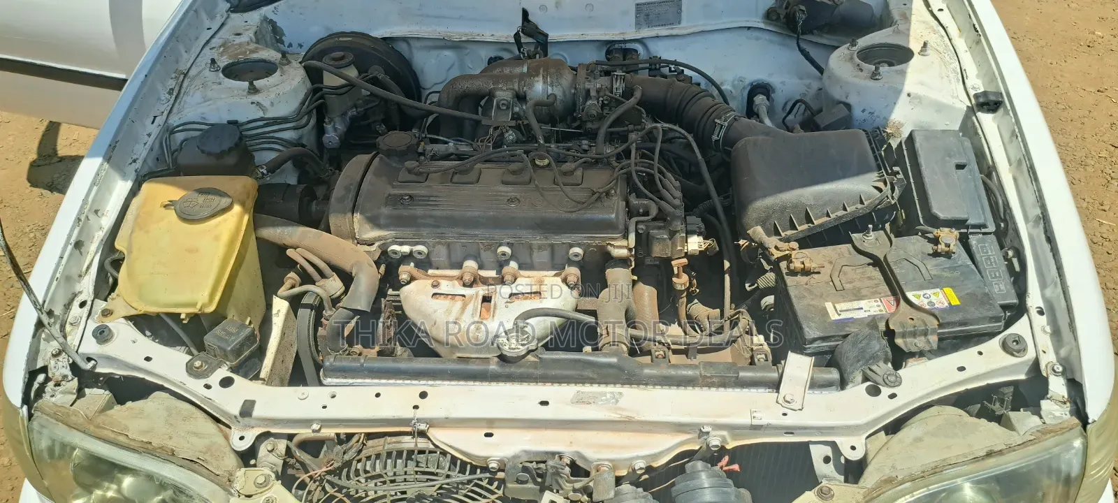 Toyota Corolla 1999 White