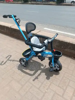 Kids Push Tricycle With Protective Side Bar