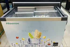 Hisense Chest Freezer FC40DD