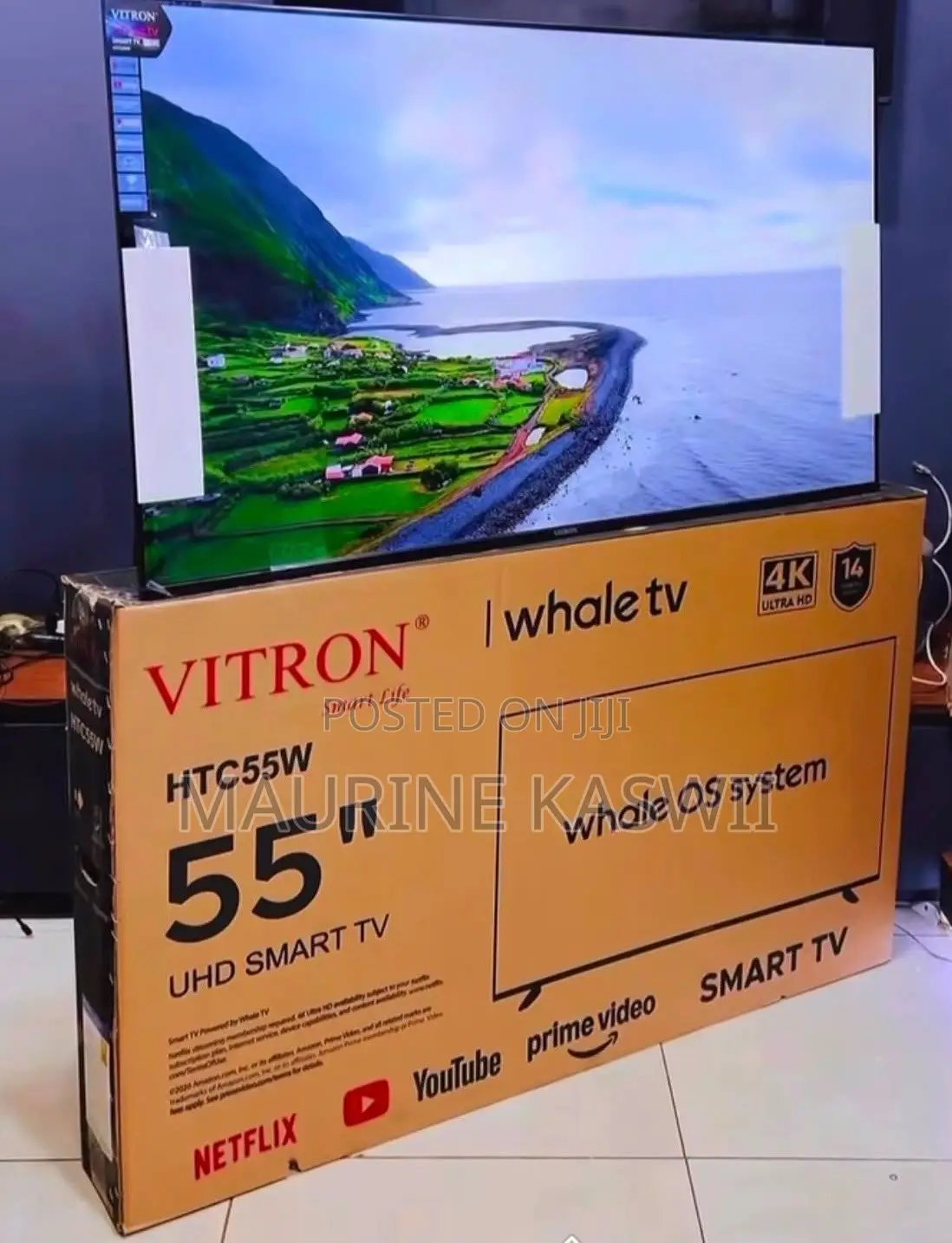 Vitron 55” Smart Whale TV