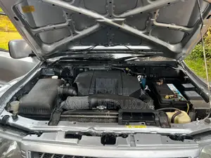 Mitsubishi Pajero 2005 Silver