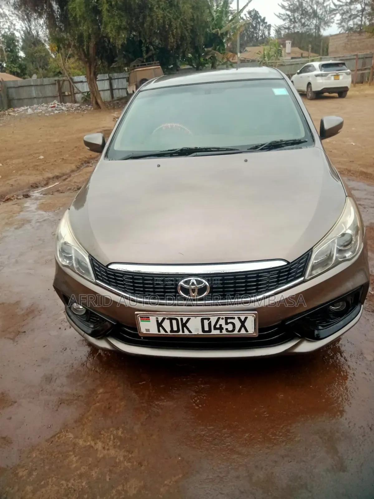 Toyota Belta 2022 Brown