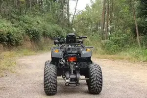 200 Cc Chain Transmision ATV Automatic