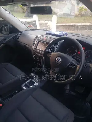 Volkswagen Tiguan 2009 Gray