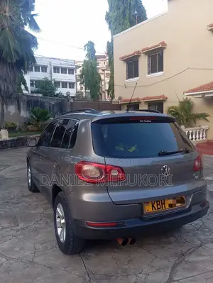 Volkswagen Tiguan 2009 Gray