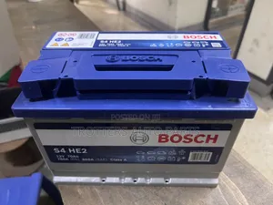 Trotters Auto Parts-Din70 OEM EFB BOSCH