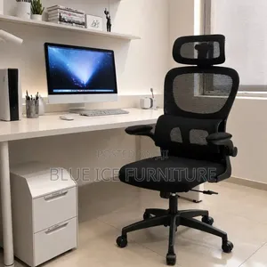 Black Mesh Ergonomic Office Chair With Headrest & Adjustable Armrests