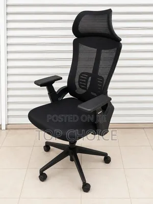 Ergonomic Office Chair