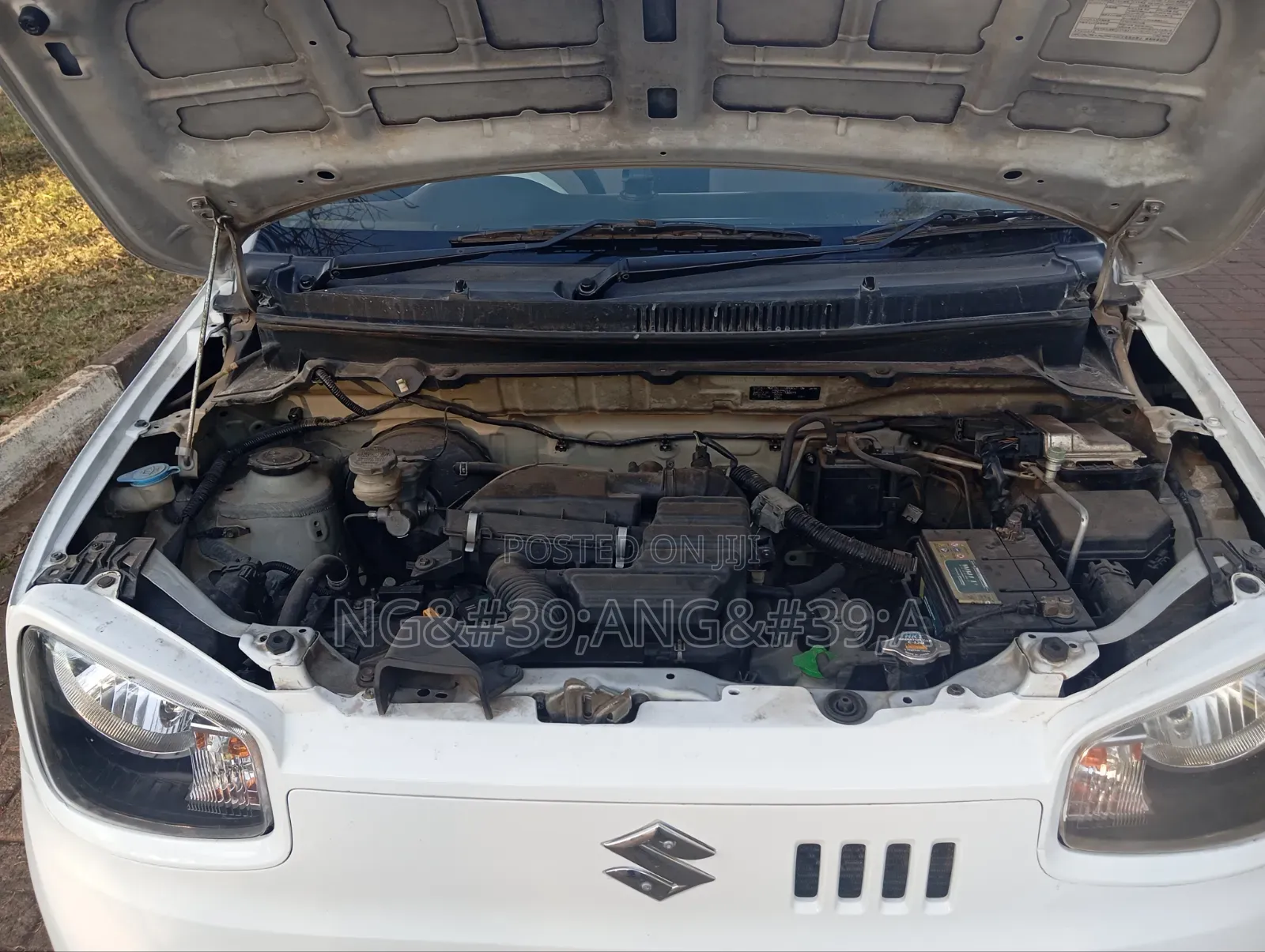 Suzuki Alto 2017 White