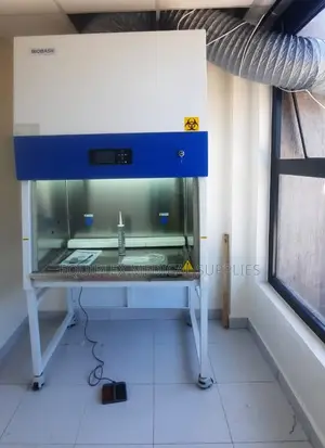 Biosafety Cabinet for Research Studies (4 Feet, Biobase Brand)