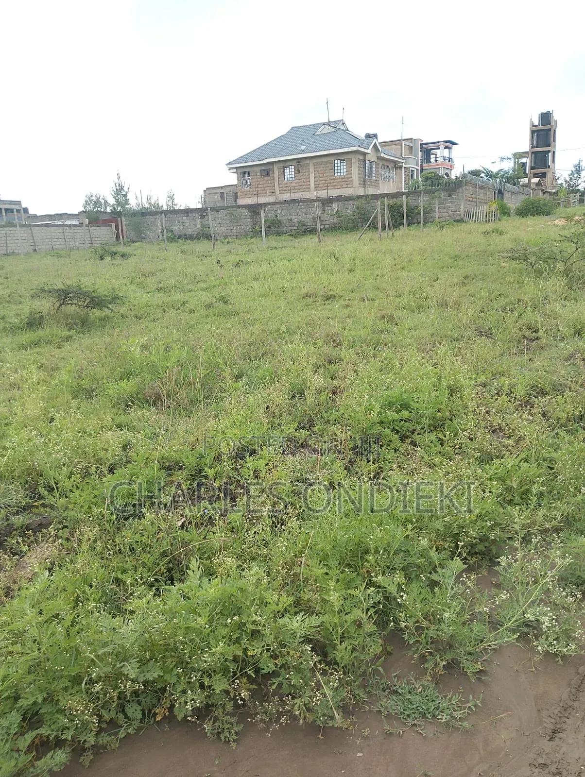 Lands for Sale