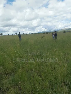 Lands for Sale