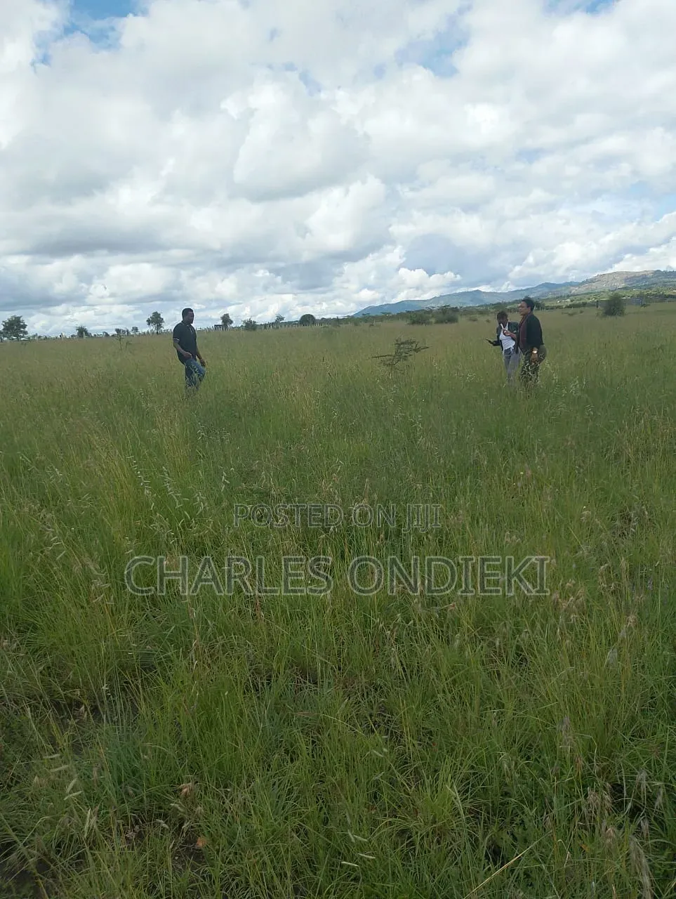 Lands for Sale