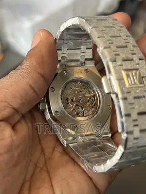 Audemars Piguet Stainless Steel Rainbow Frosted Skeleton Watch