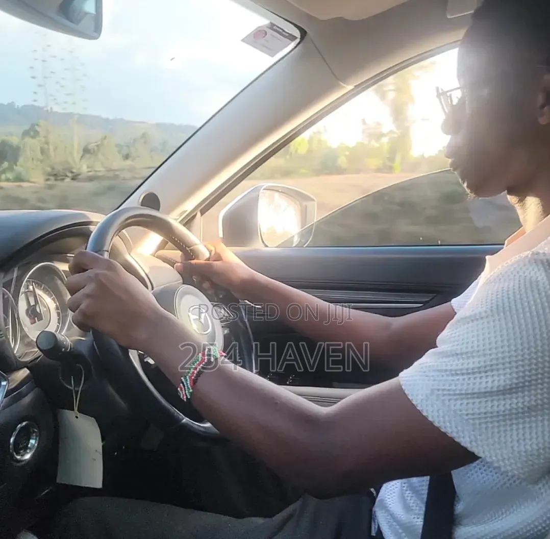 Professional Driver for Hire