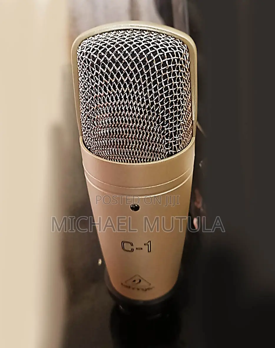 Behringer C-1 Condenser Microphone