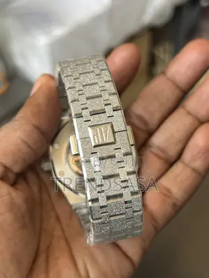 Audemars Piguet Stainless Steel Rainbow Frosted Skeleton Watch