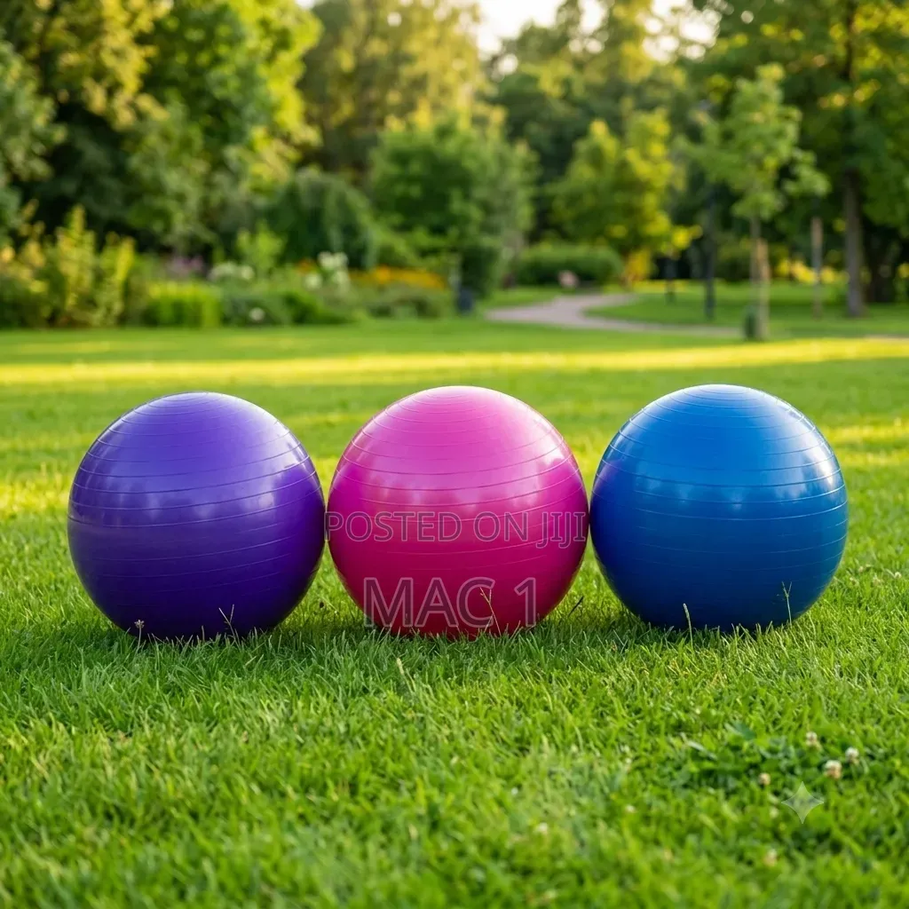 Heavy Duty Gym Stability – Core Balance & Rehabilitation Fitness Ball