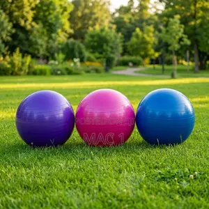 Heavy Duty Gym Stability – Core Balance & Rehabilitation Fitness Ball