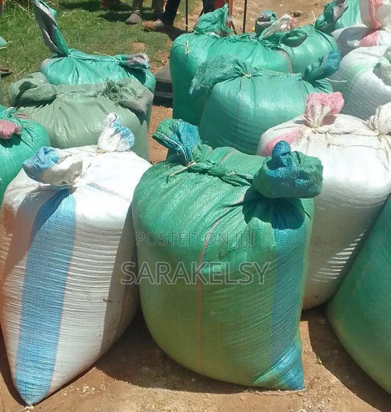Dry Maize for Ugali