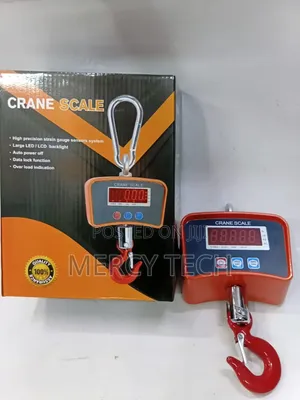 100kg Crane Scale