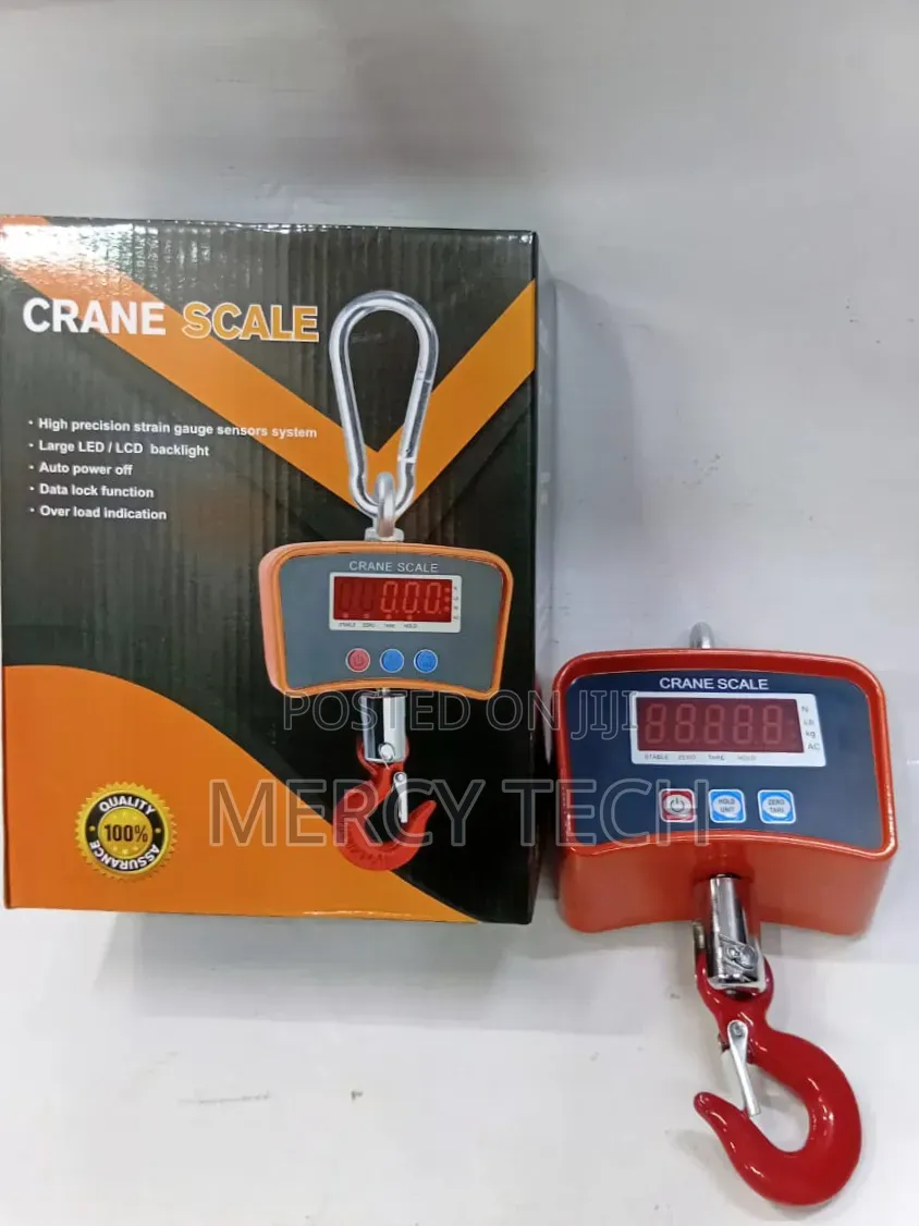 100kg Crane Scale