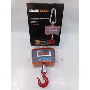 300kg Crane Scale