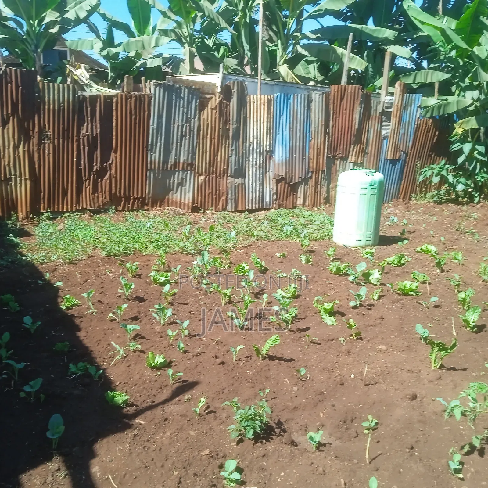 Land for Rent/ Lease