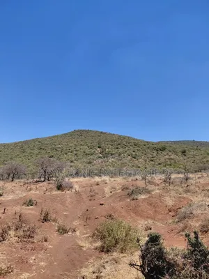 Land for Sale in Ntashart,Kajiado