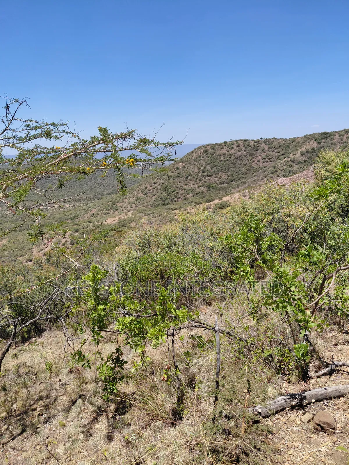 Land for Sale in Ntashart,Kajiado