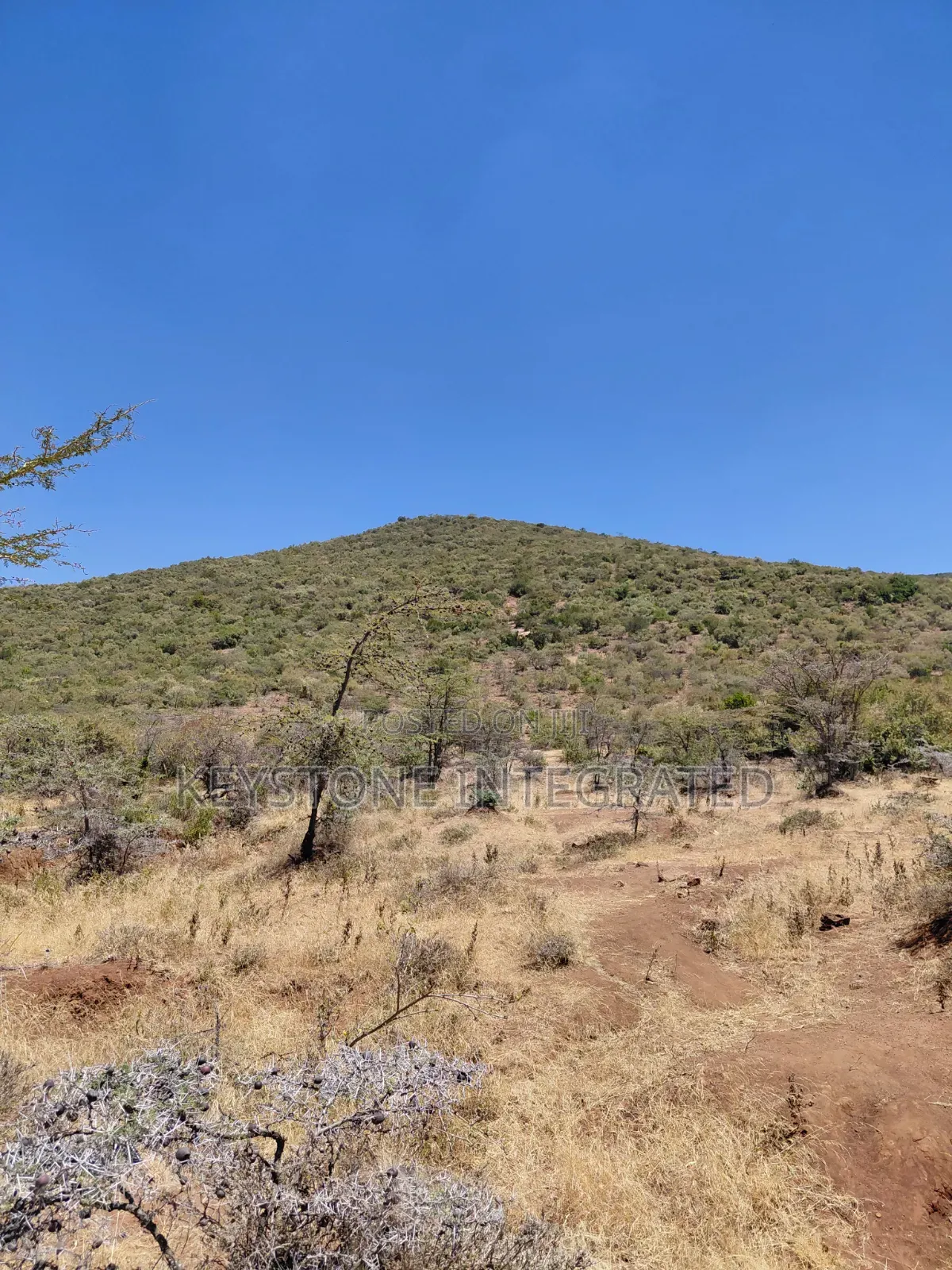 Land for Sale in Ntashart,Kajiado