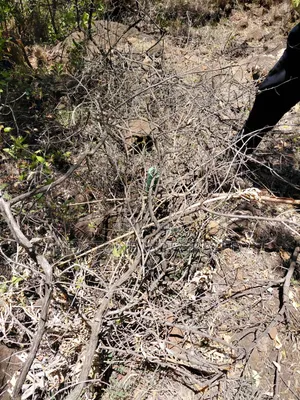 Land for Sale in Ntashart,Kajiado