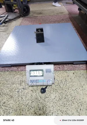 Digital Platform Scale 1tone / 1 by 1 Scale