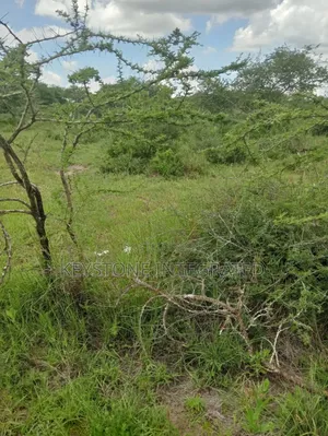 5 Acres Land for Sale in Konza