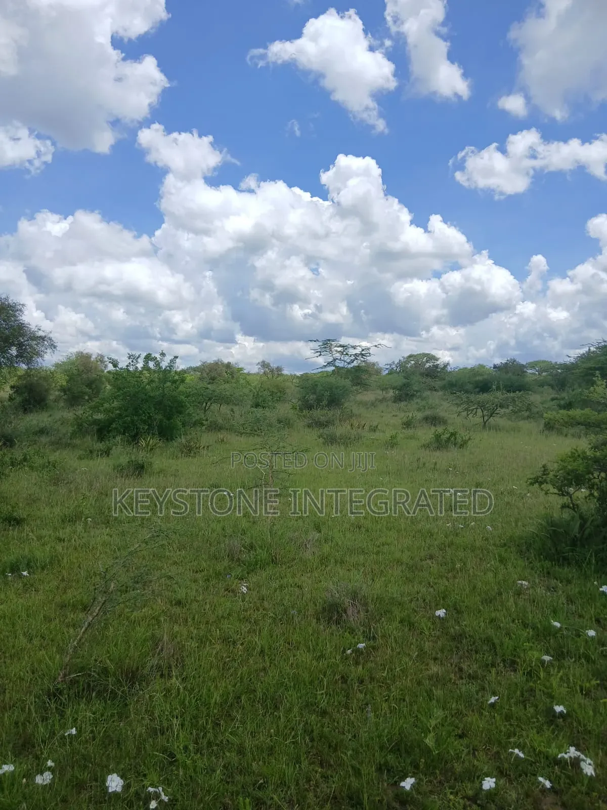 5 Acres Land for Sale in Konza