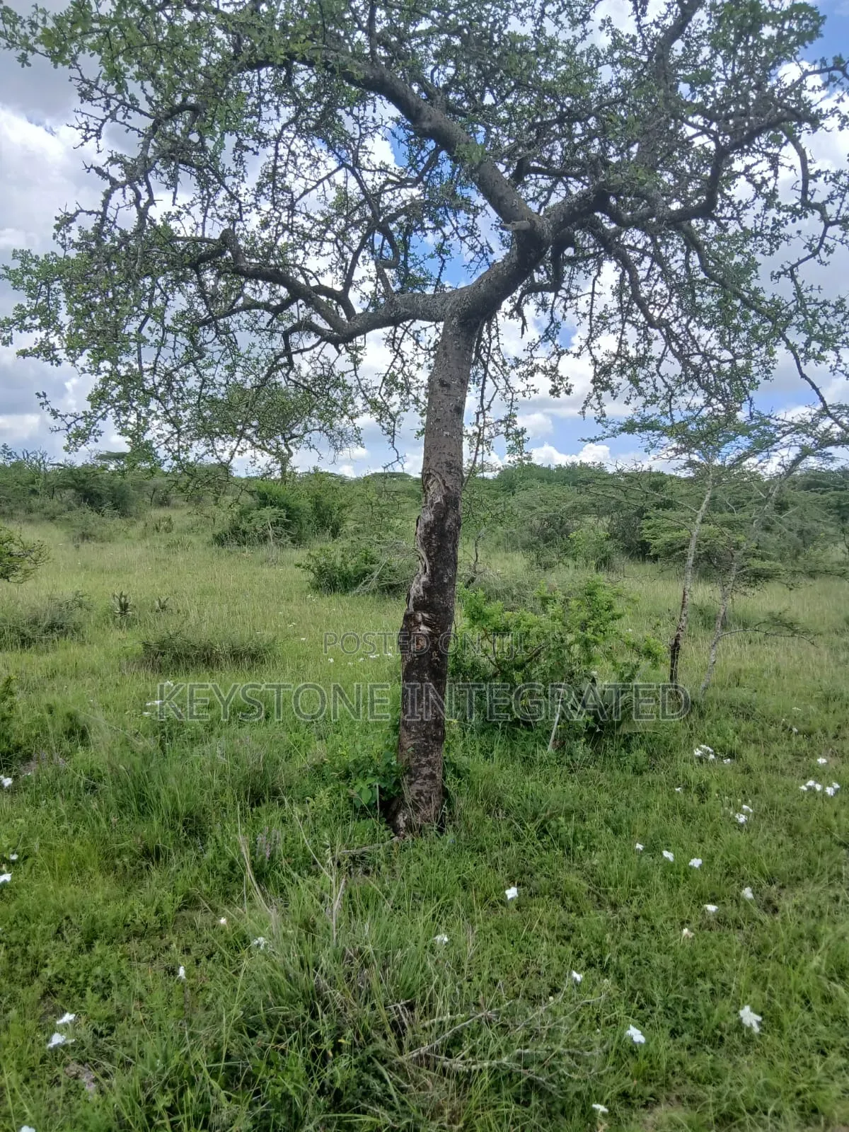 5 Acres Land for Sale in Konza
