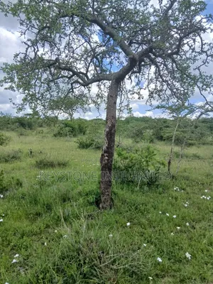 5 Acres Land for Sale in Konza
