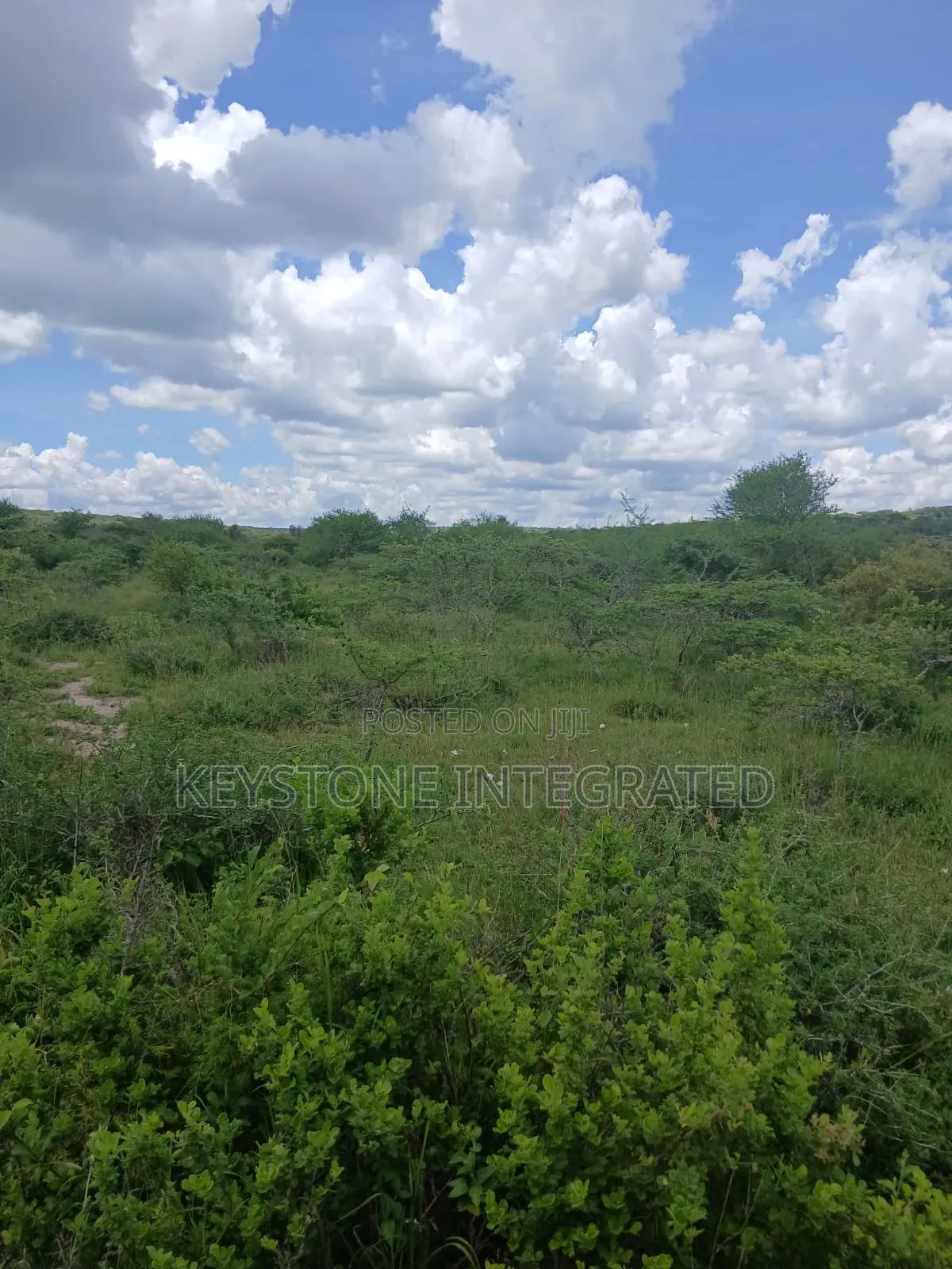 5 Acres Land for Sale in Konza