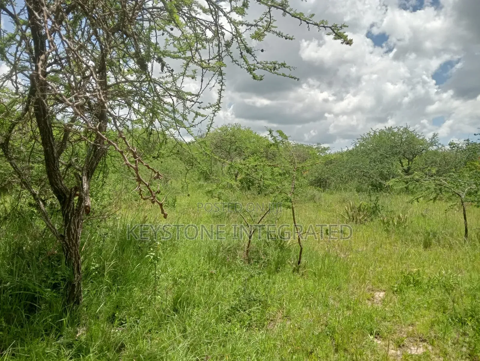 5 Acres Land for Sale in Konza