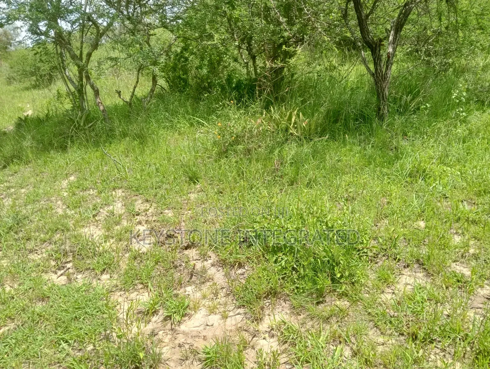 5 Acres Land for Sale in Konza