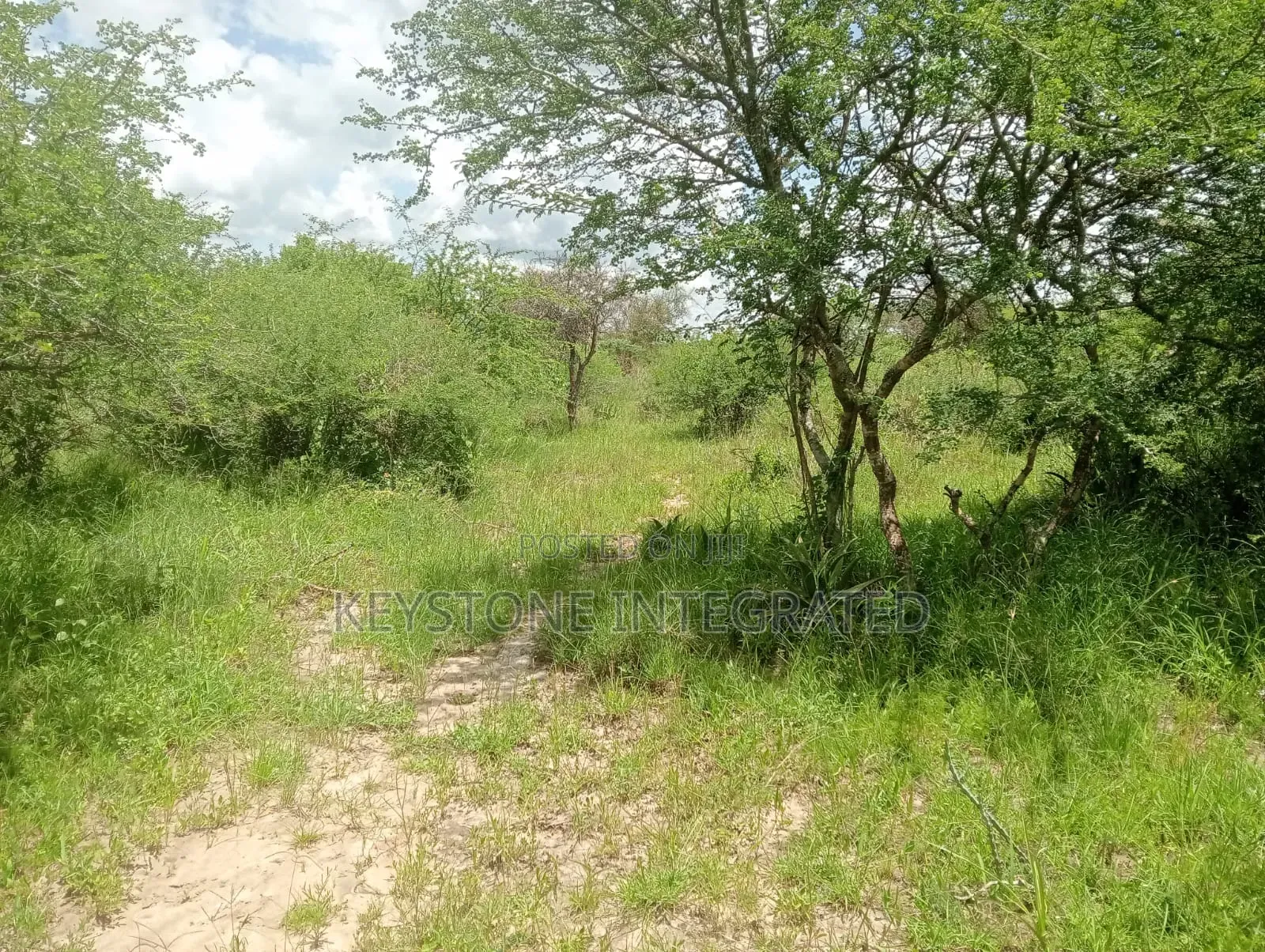 5 Acres Land for Sale in Konza