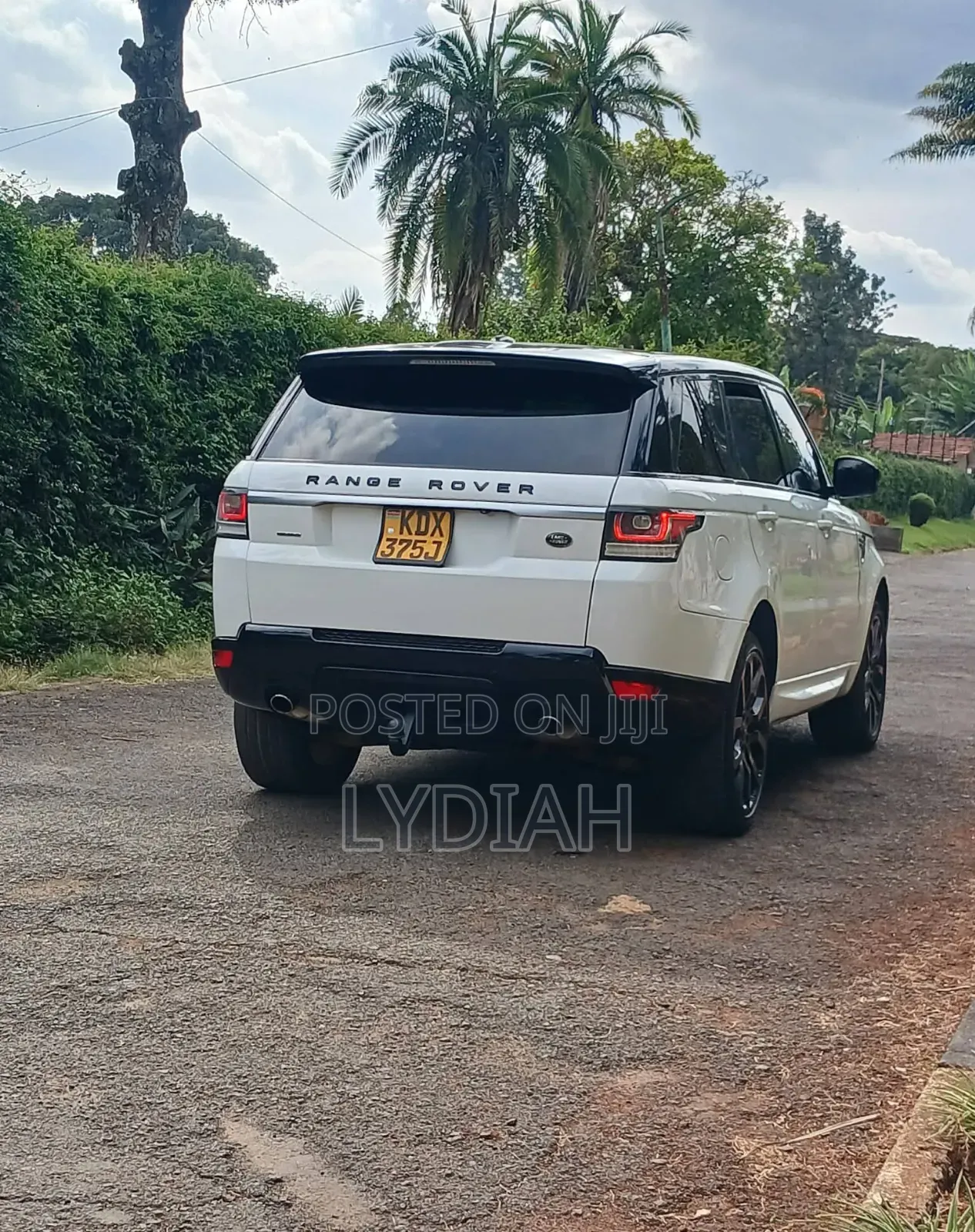 Rover Land 2015 White