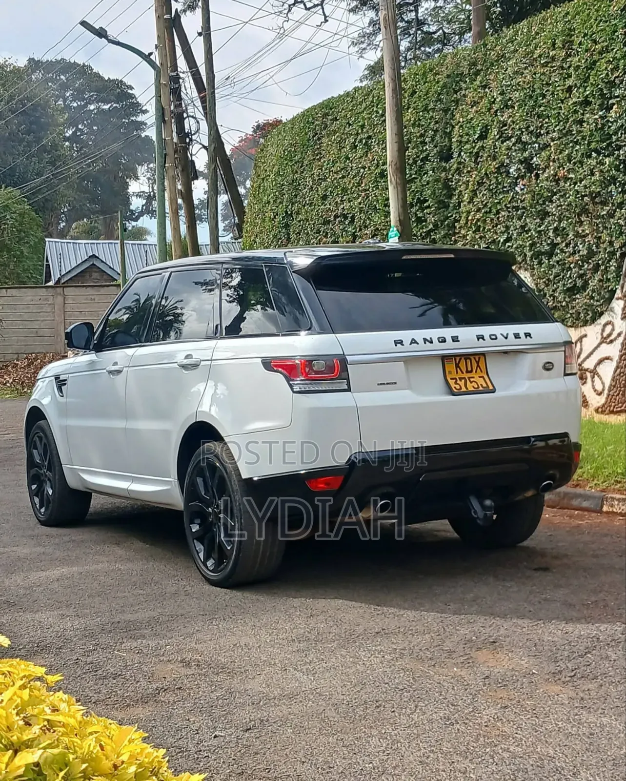 Rover Land 2015 White