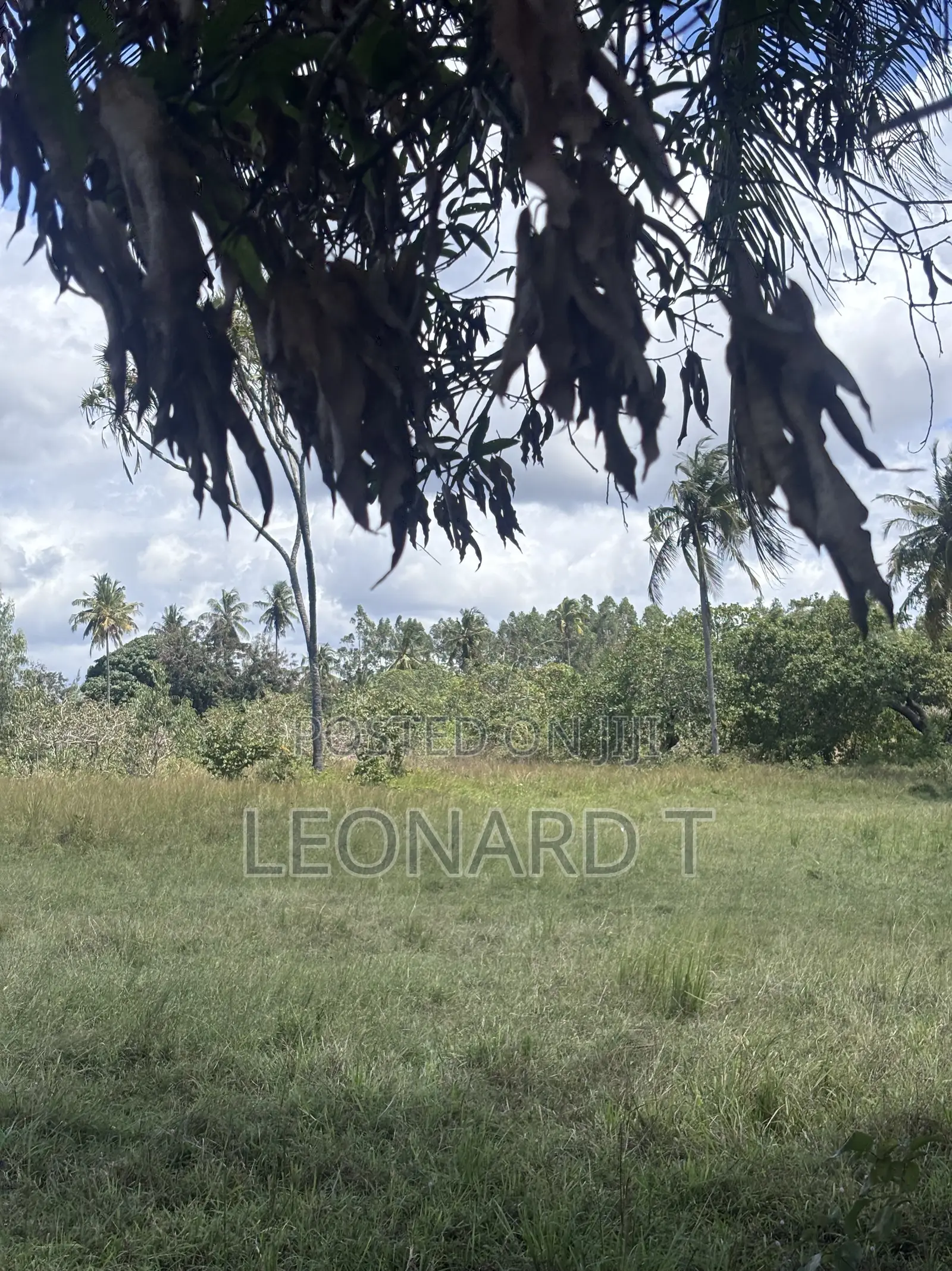 Prime 2-Acre Property for Sale – Kilole, Diani