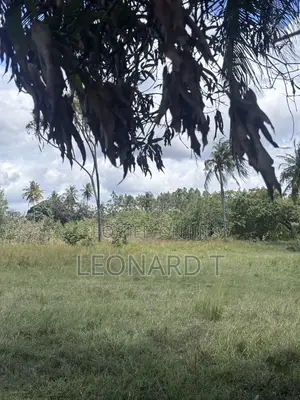 Prime 2-Acre Property for Sale – Kilole, Diani