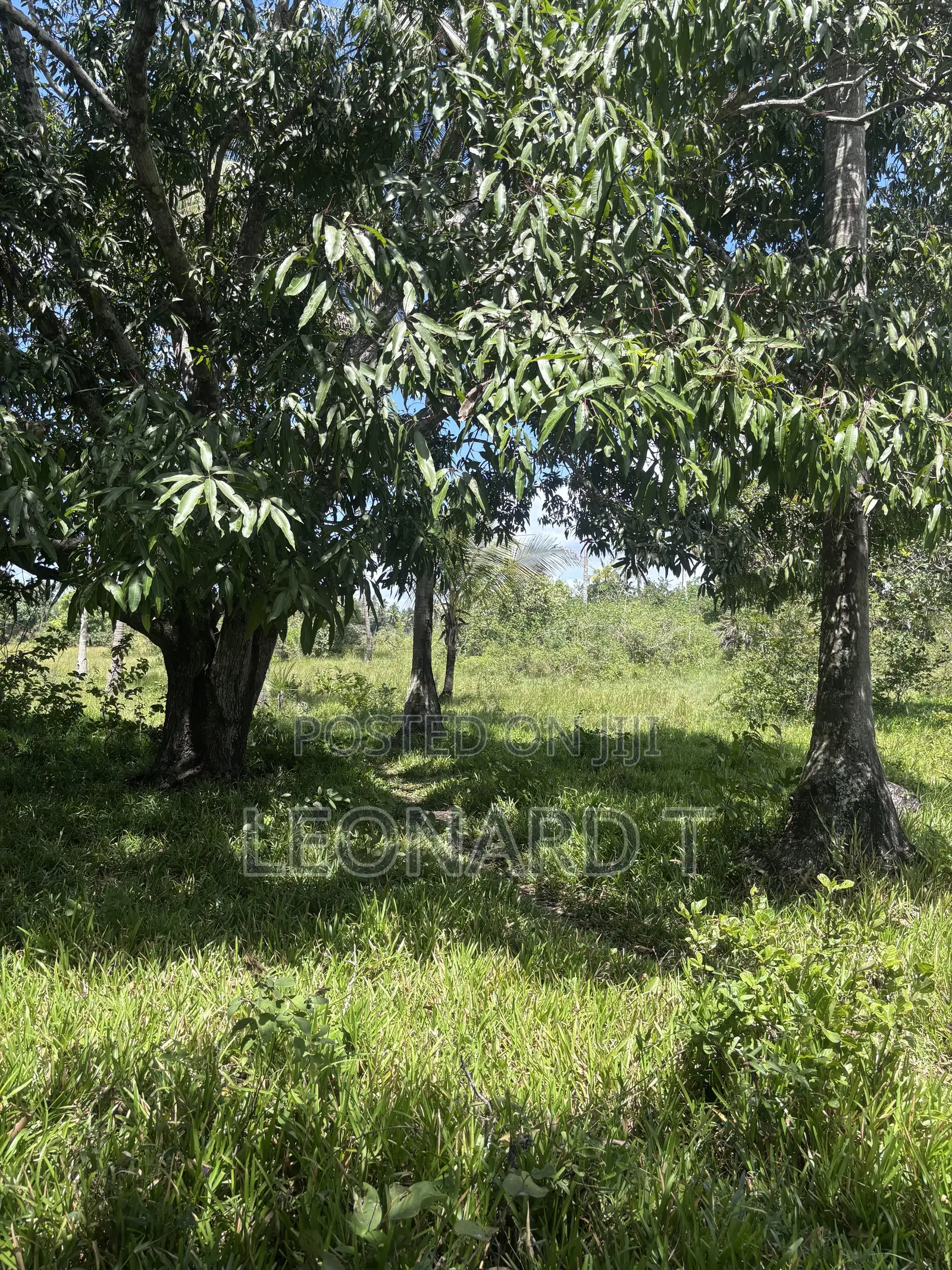 Prime 2-Acre Property for Sale – Kilole, Diani