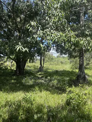 Prime 2-Acre Property for Sale – Kilole, Diani